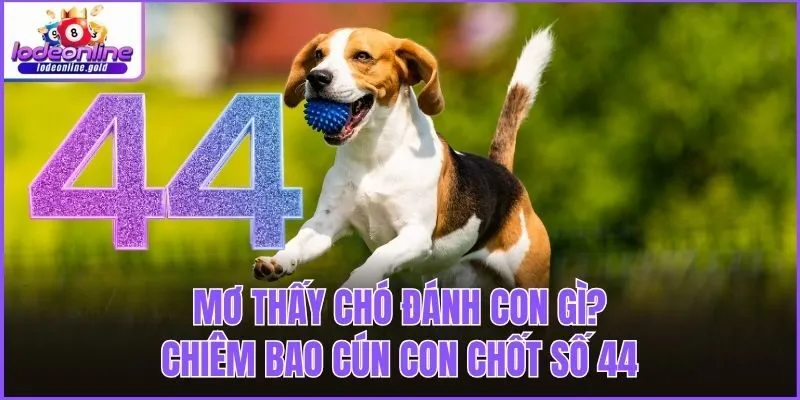 Mơ thấy chó đánh con gì? Chiêm bao cún con chốt số 44
