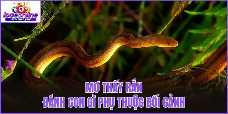 Mơ thấy rắn đánh con gì phụ thuộc bối cảnh